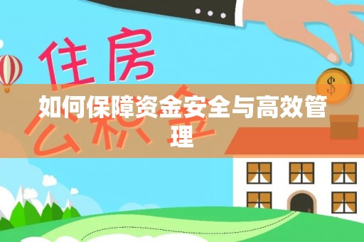 达孜如何保障资金安全与高效管理