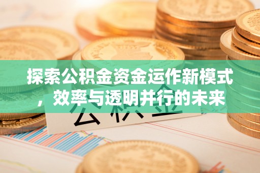 达孜探索公积金资金运作新模式，效率与透明并行的未来
