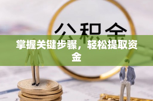 达孜掌握关键步骤，轻松提取资金
