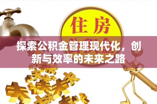 达孜探索公积金管理现代化，创新与效率的未来之路