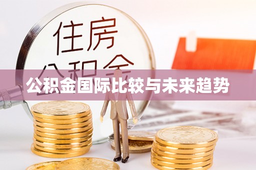达孜公积金国际比较与未来趋势