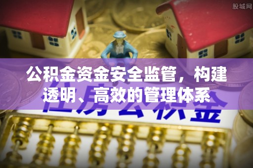 达孜公积金资金安全监管，构建透明、高效的管理体系