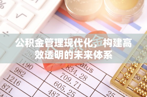 达孜公积金管理现代化，构建高效透明的未来体系