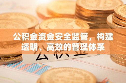 达孜公积金资金安全监管，构建透明、高效的管理体系