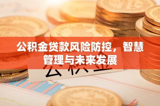 达孜公积金贷款风险防控，智慧管理与未来发展
