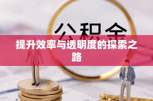 达孜提升效率与透明度的探索之路