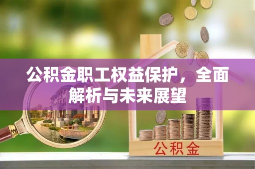 达孜公积金职工权益保护，全面解析与未来展望