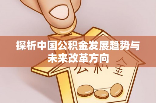 达孜探析中国公积金发展趋势与未来改革方向