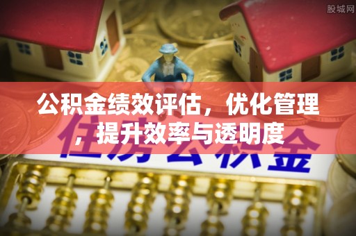 达孜公积金绩效评估，优化管理，提升效率与透明度