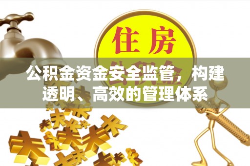 达孜公积金资金安全监管，构建透明、高效的管理体系