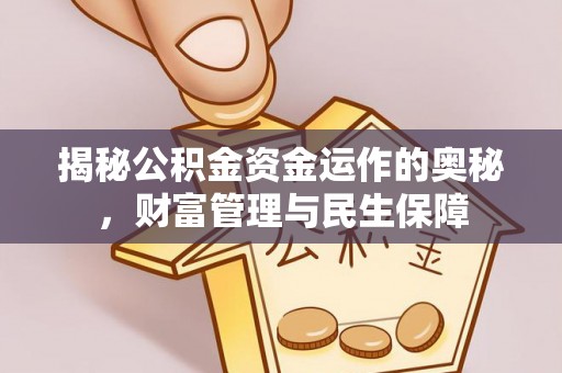 达孜揭秘公积金资金运作的奥秘，财富管理与民生保障