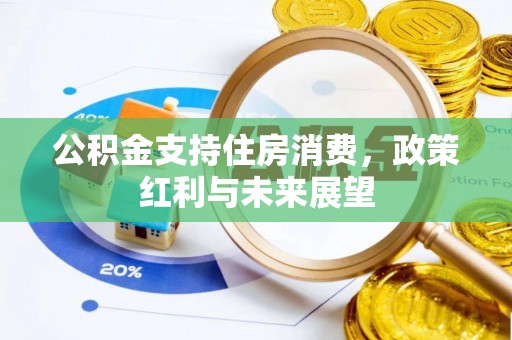 达孜公积金支持住房消费，政策红利与未来展望