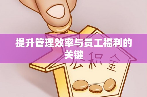 达孜提升管理效率与员工福利的关键