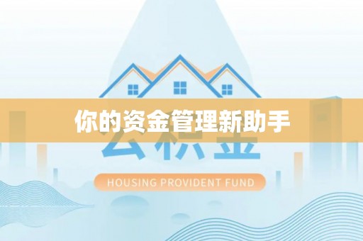 达孜你的资金管理新助手