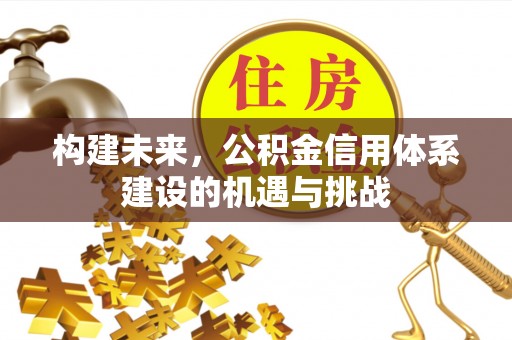 达孜构建未来，公积金信用体系建设的机遇与挑战