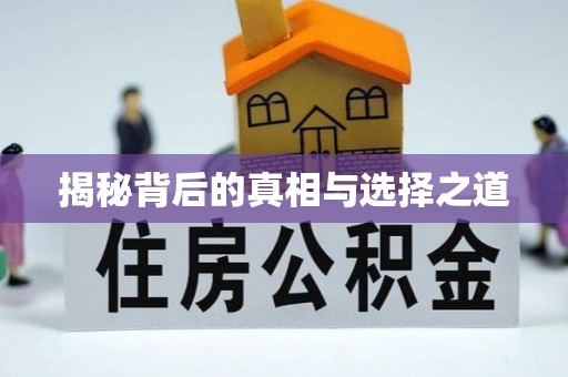 达孜揭秘背后的真相与选择之道