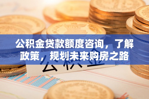 达孜公积金贷款额度咨询，了解政策，规划未来购房之路