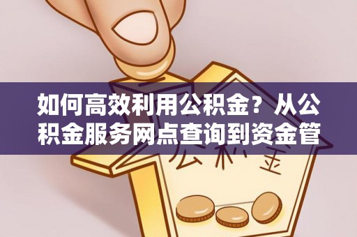 达孜如何高效利用公积金？从公积金服务网点查询到资金管理全攻略