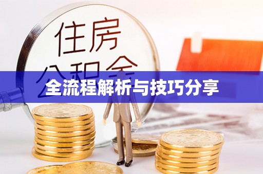 达孜全流程解析与技巧分享