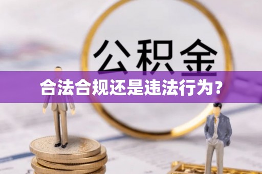 达孜合法合规还是违法行为？