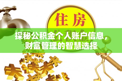 达孜探秘公积金个人账户信息，财富管理的智慧选择