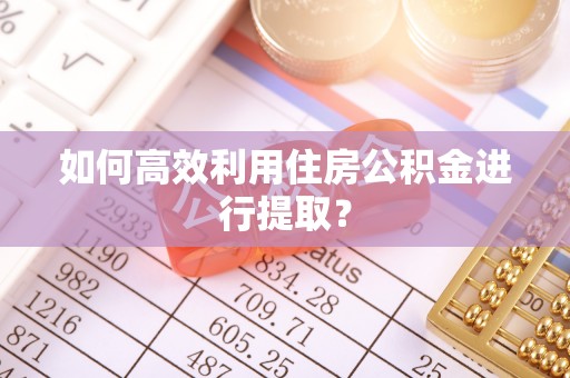 达孜如何高效利用住房公积金进行提取？