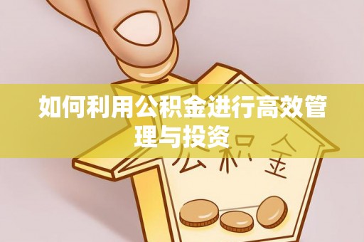 达孜如何利用公积金进行高效管理与投资