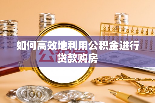 达孜如何高效地利用公积金进行贷款购房