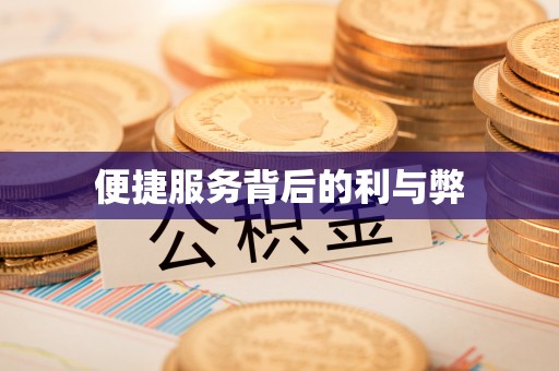 达孜便捷服务背后的利与弊