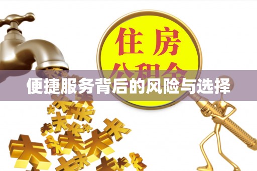 达孜便捷服务背后的风险与选择