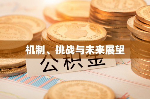 达孜机制、挑战与未来展望