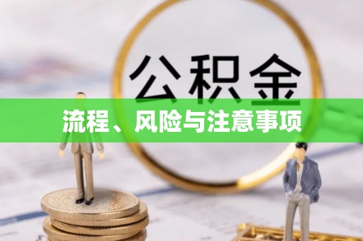 达孜流程、风险与注意事项