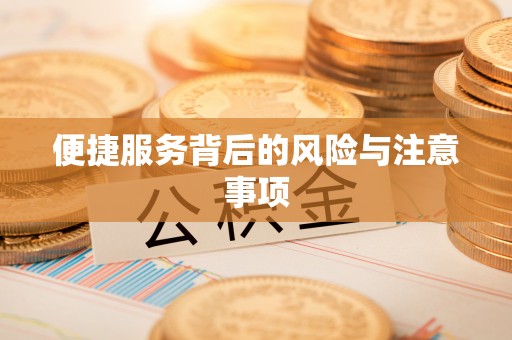 达孜便捷服务背后的风险与注意事项